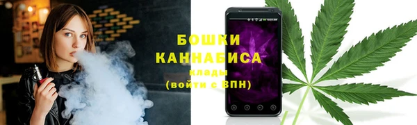 прущие грибы Вязьма